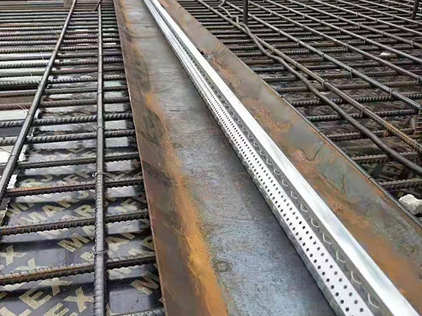 止水魚鱗網(wǎng)-案例